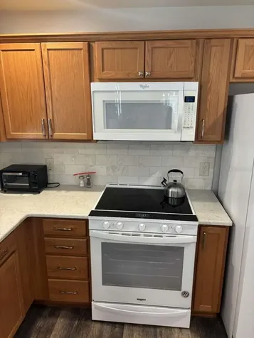 1067 Carver Court The Villages FL 32163