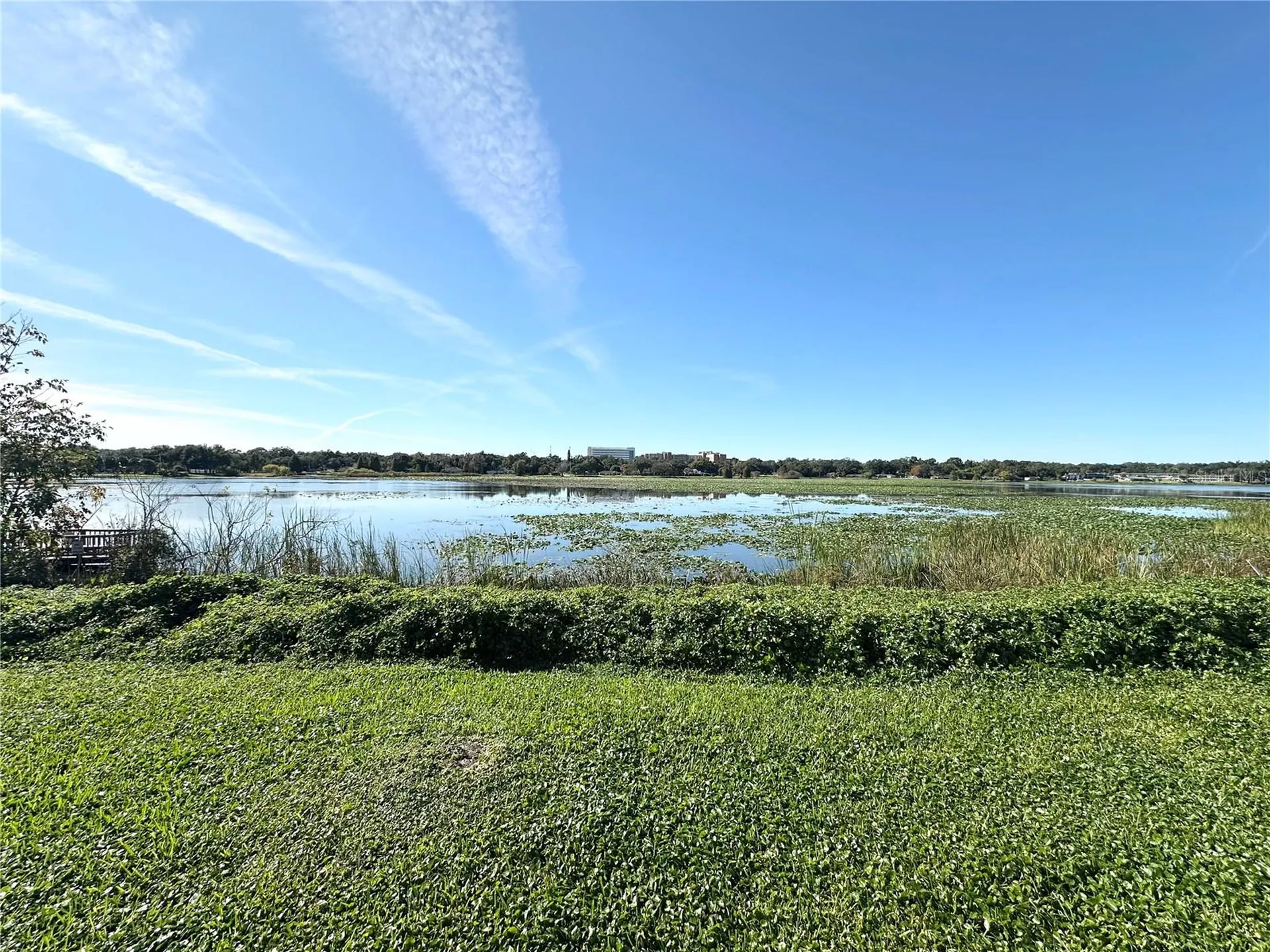 1130 N Lake Parker Avenue Lakeland FL 33805