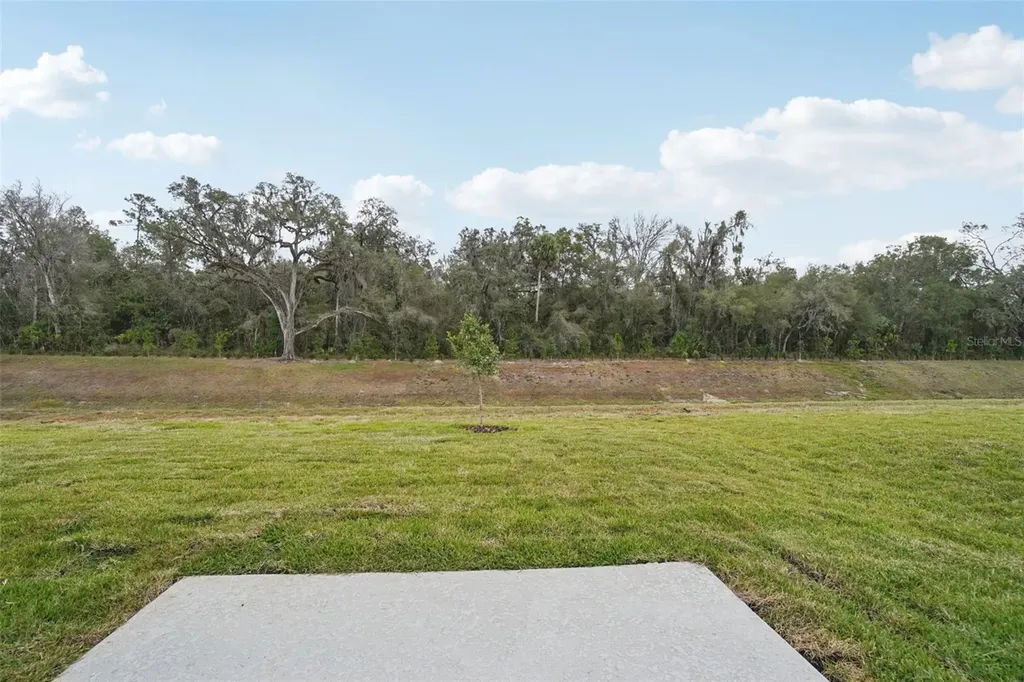 7186 Ray Creek Drive Brooksville FL 34601