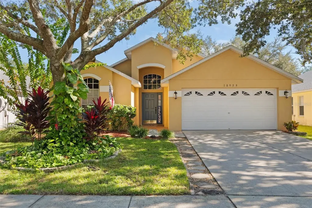 18959 Wood Sage Drive Tampa FL 33647