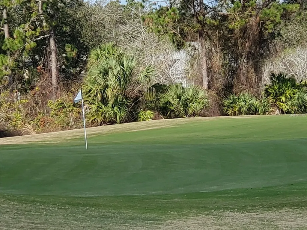2 Blue Oak Lane Palm Coast FL 32137