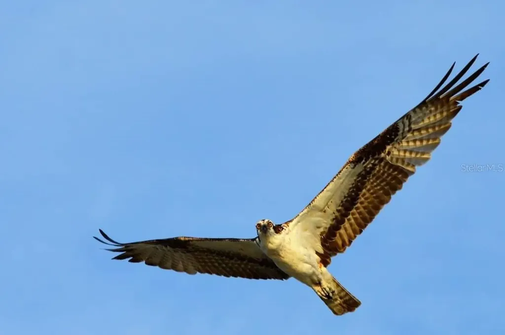 90 N Gulf Boulevard Placida FL 33946