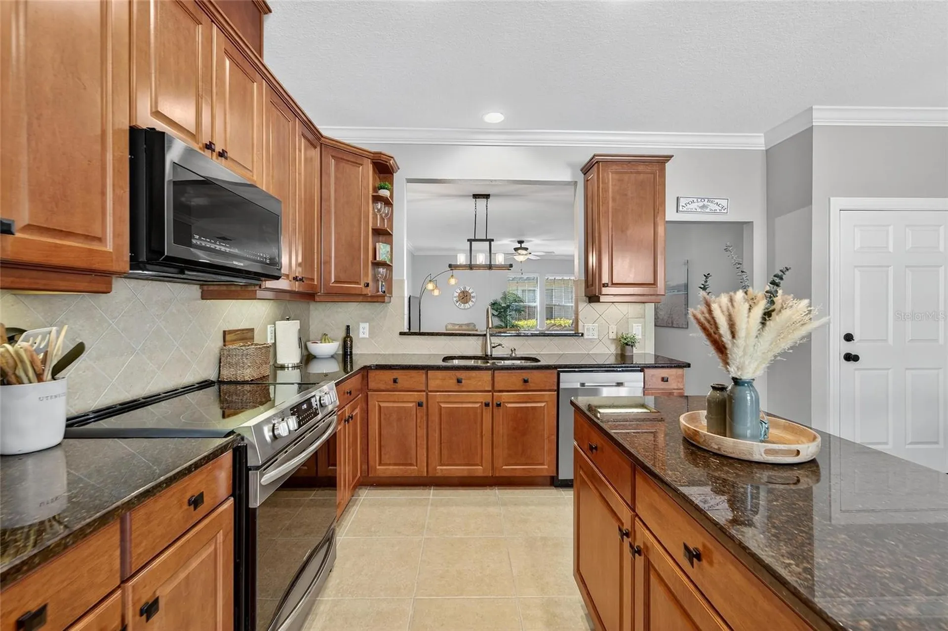114 Aberdeen Pond Drive Apollo Beach FL 33572