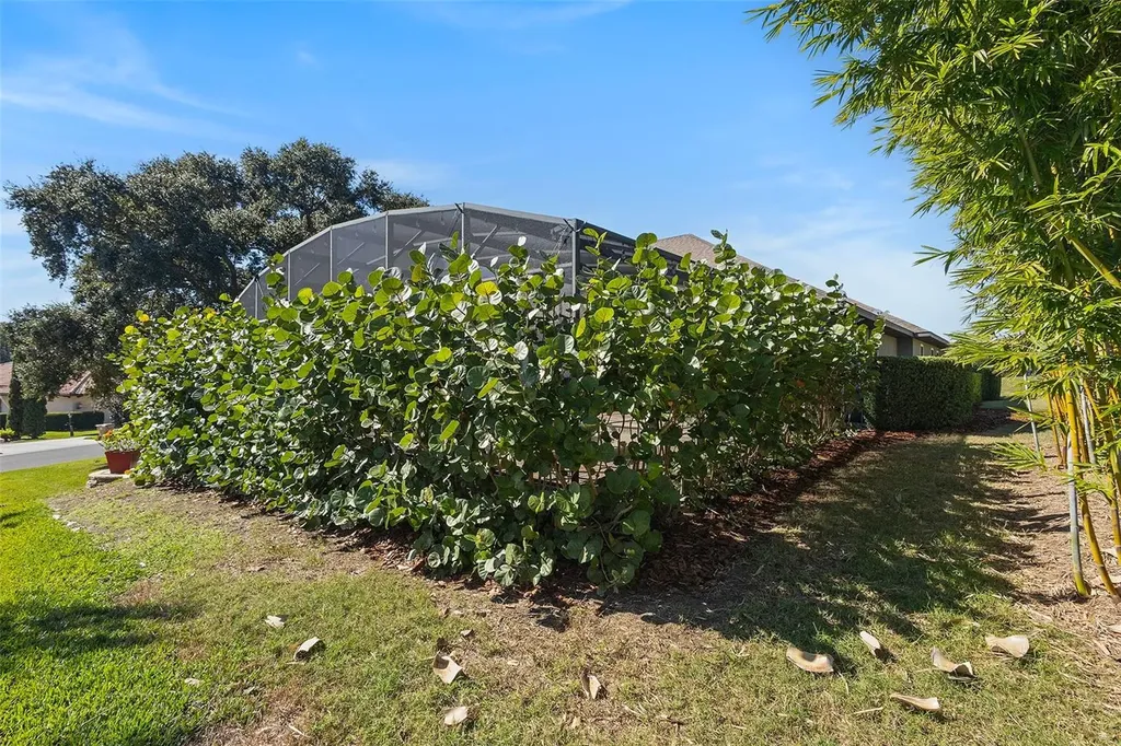 39500 Hillrise Lane Lady Lake FL 32159