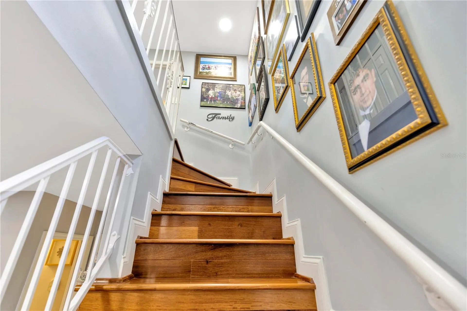 7201 Hodgewood Court Tampa FL 33614