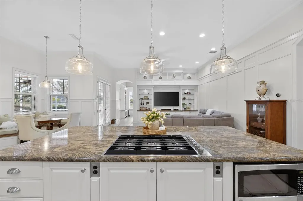 539 Islebay Drive Apollo Beach FL 33572