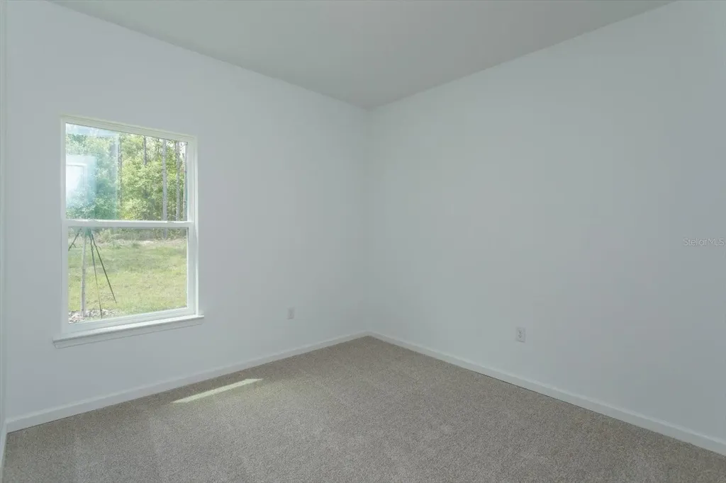 1596 Cadence Street Minneola FL 34715