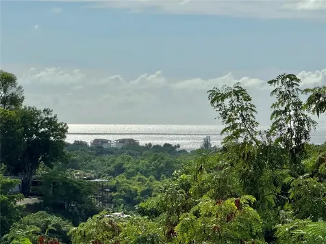Carr 411 Km 0.20 Bo. Calvache Rincon PR 00677