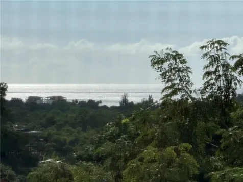 Carr 411 Km 0.20 Bo. Calvache Rincon PR 00677