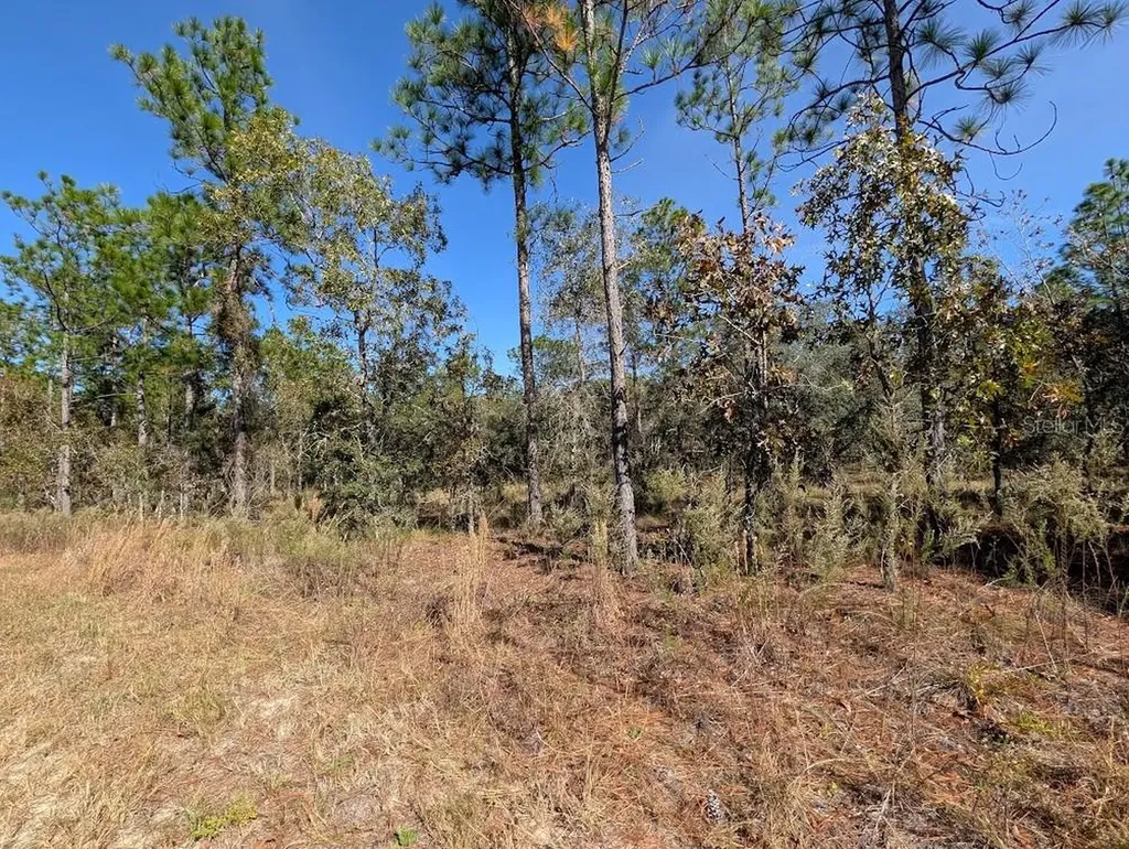 SE 135th Court Dunnellon FL 34431