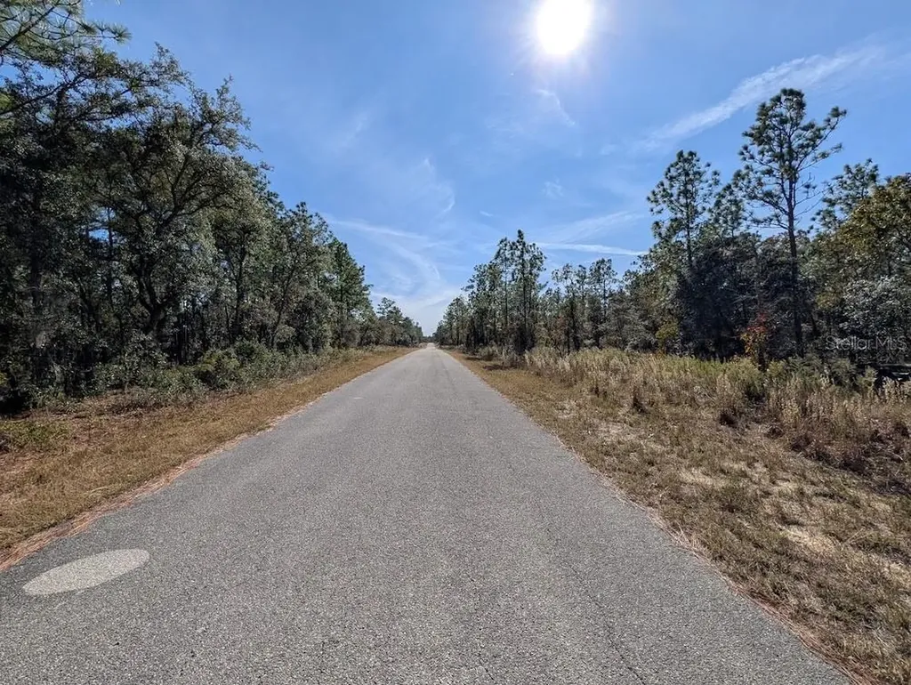 SE 135th Court Dunnellon FL 34431