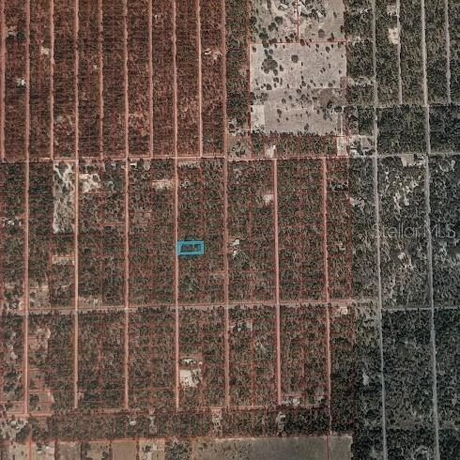 SE 135th Court Dunnellon FL 34431