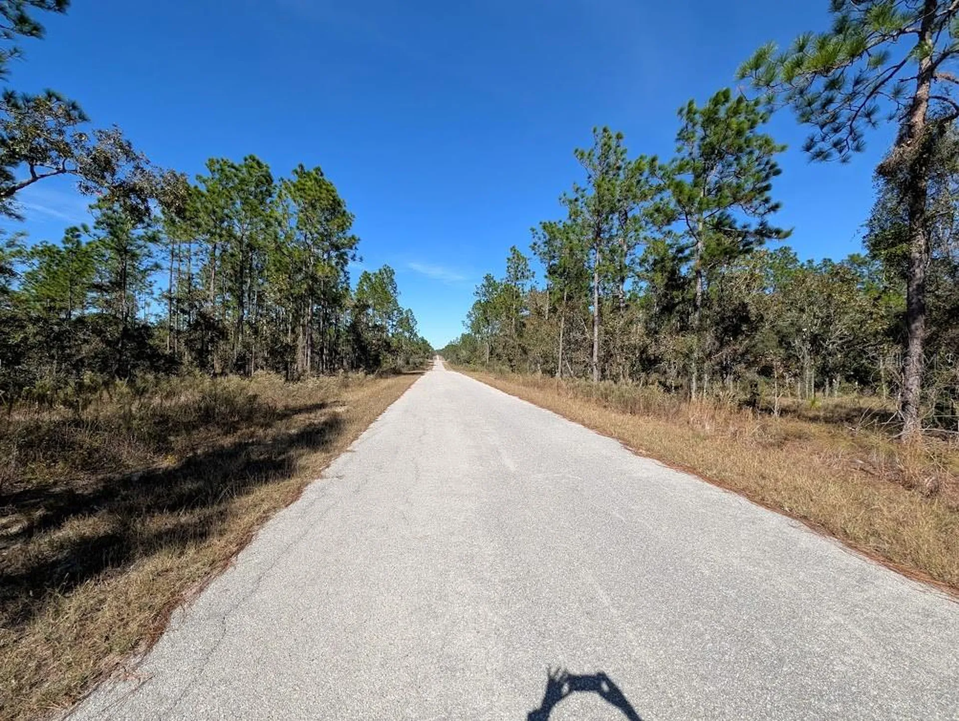 SE 135th Court Dunnellon FL 34431