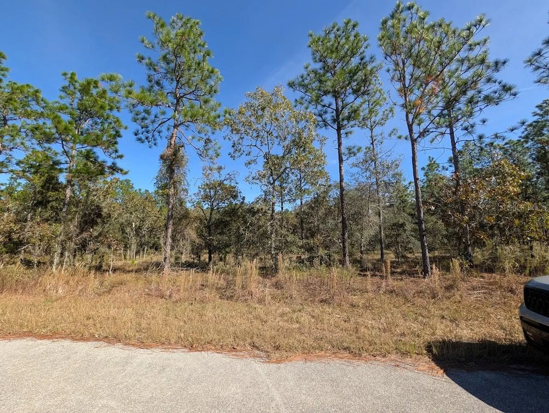 SE 135th Court Dunnellon FL 34431