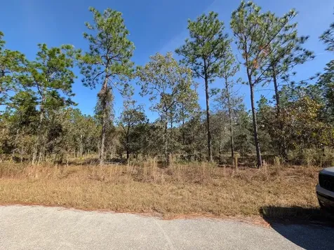 SE 135th Court Dunnellon FL 34431