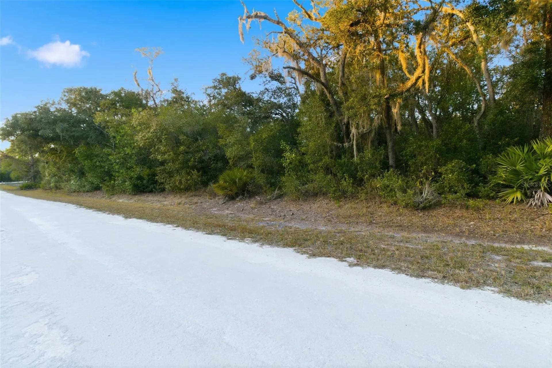 Riverstone Street Webster FL 33597