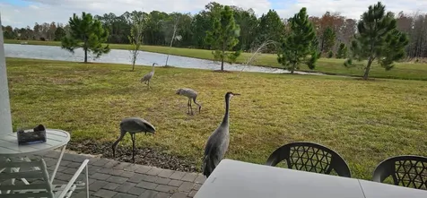 17571 Saw Palmetto Avenue Clermont FL 34714
