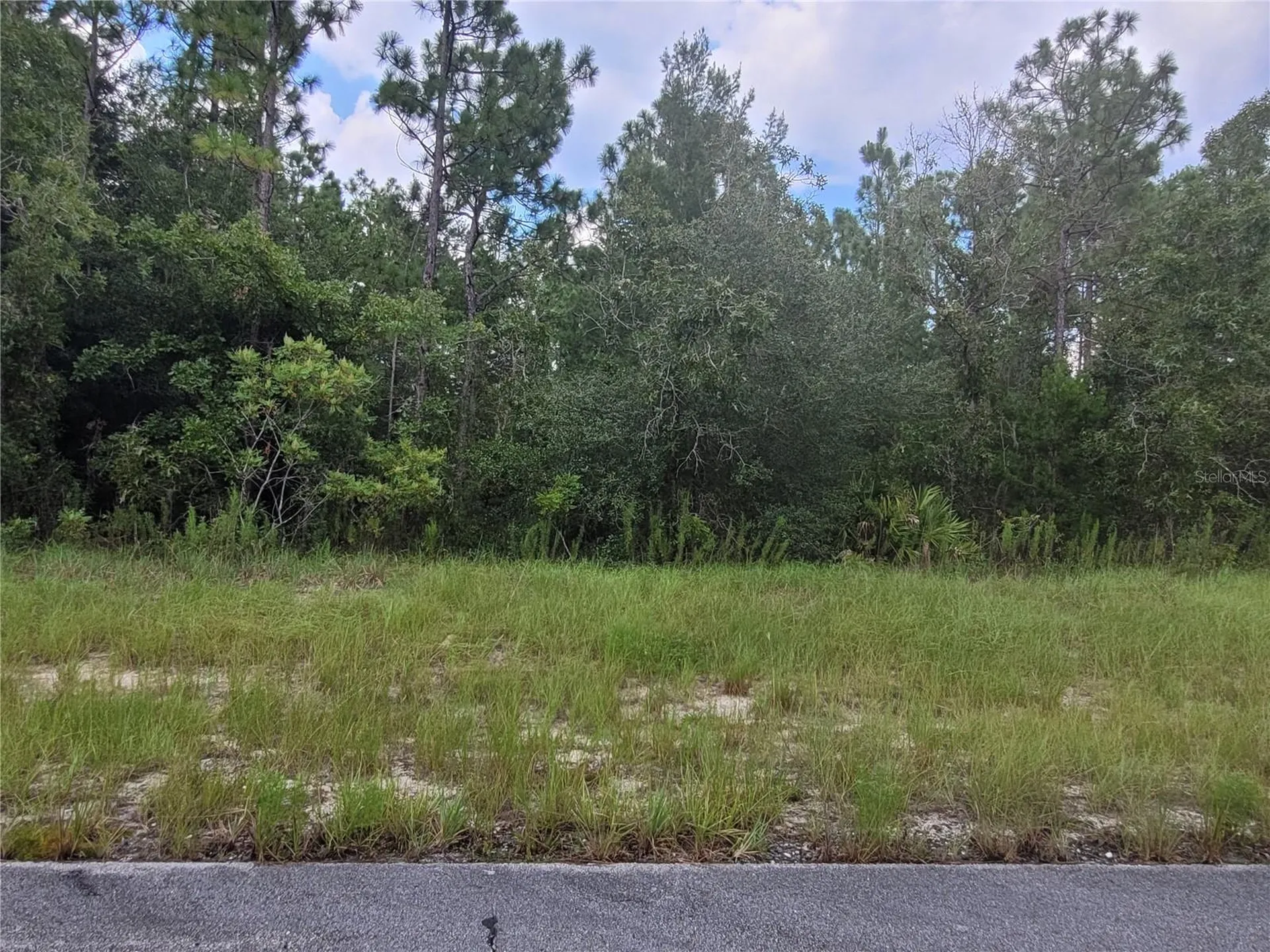 SW 135 Street Ocala FL 34473