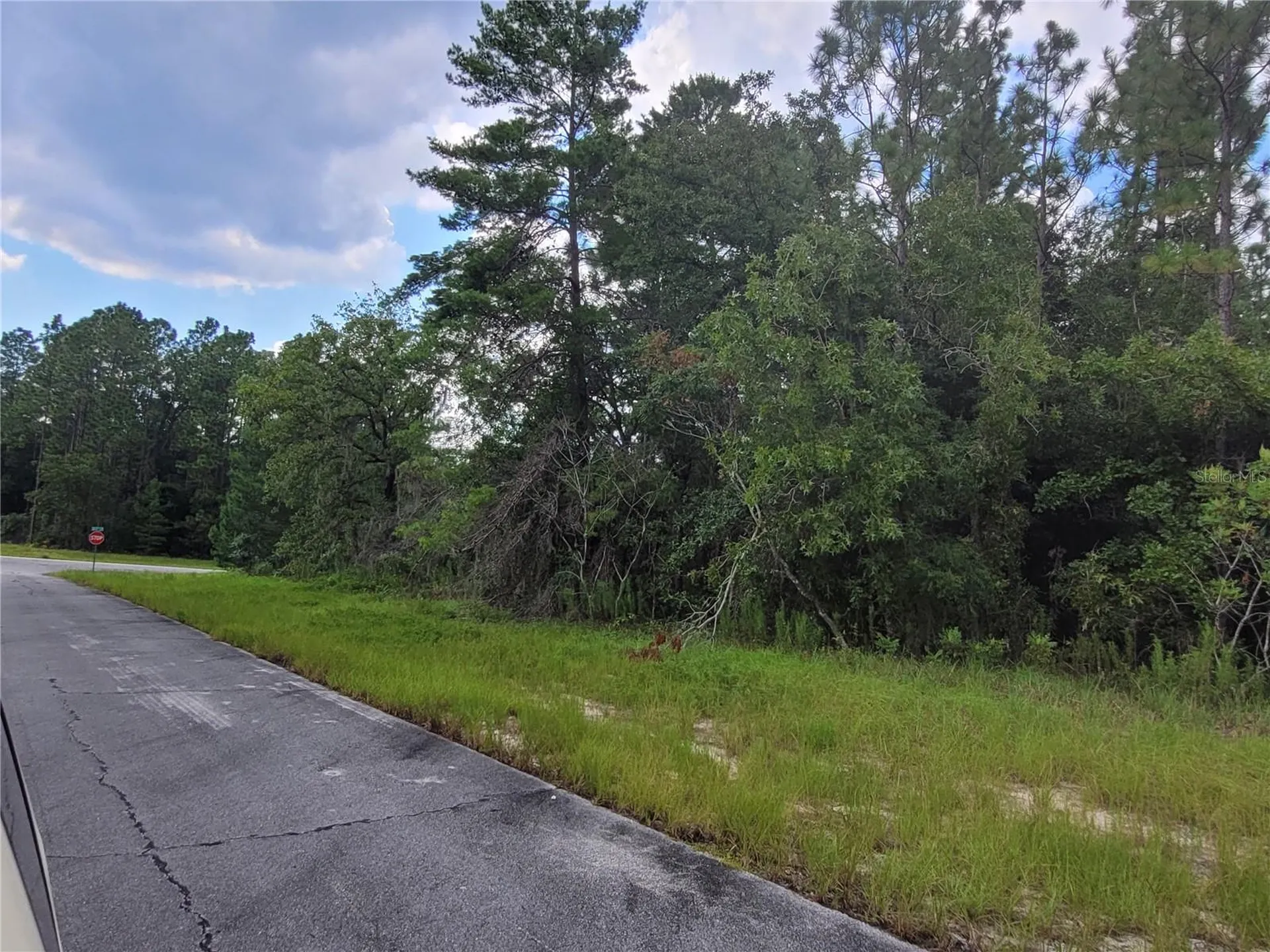 SW 135 Street Ocala FL 34473