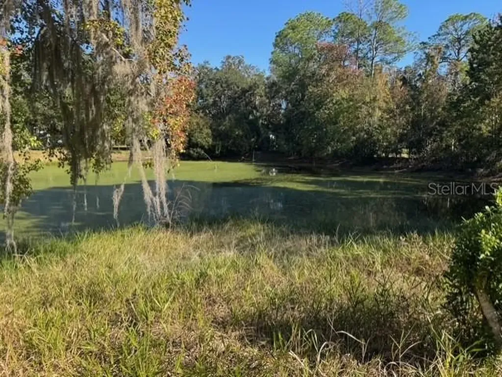 Lots SW 229th Court Dunnellon FL 34431