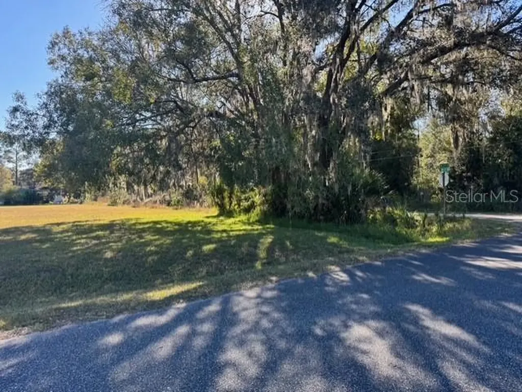 Lots SW 229th Court Dunnellon FL 34431