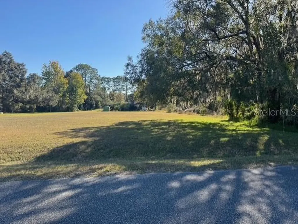 Lots SW 229th Court Dunnellon FL 34431