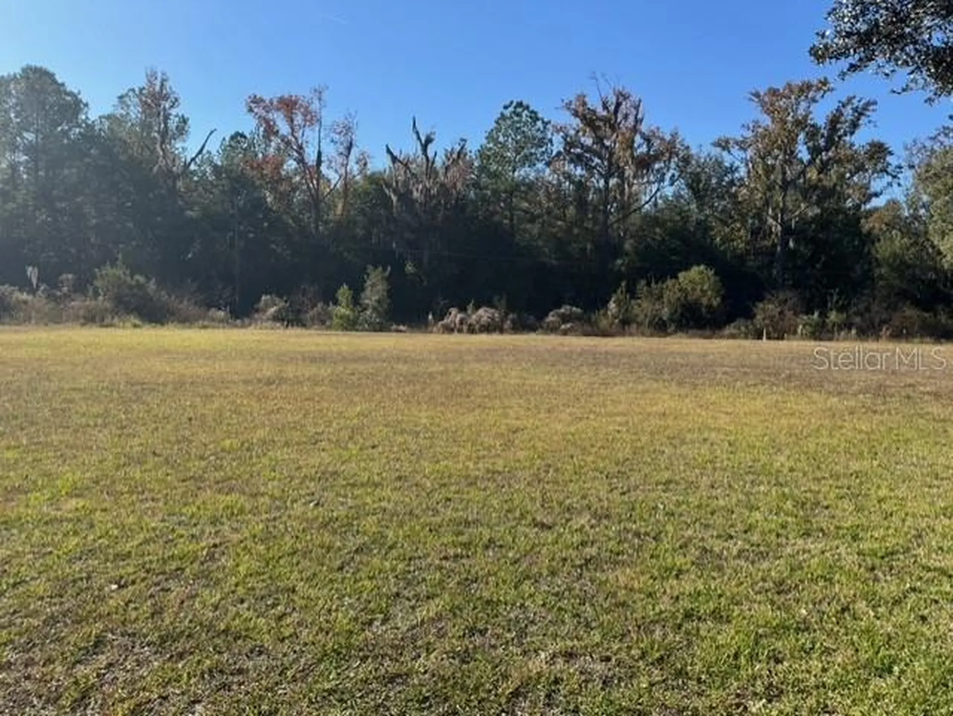 Lots SW 229th Court Dunnellon FL 34431