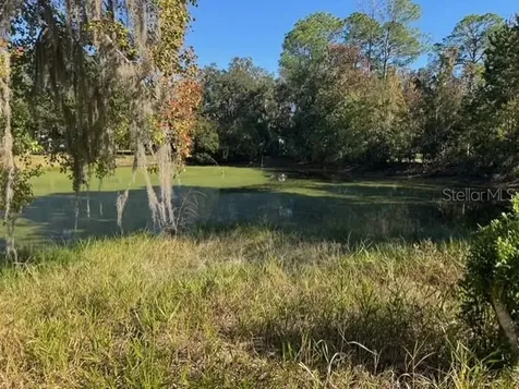 Lots SW 229th Court Dunnellon FL 34431