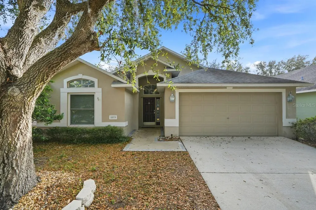18939 Twinberry Drive Tampa FL 33647