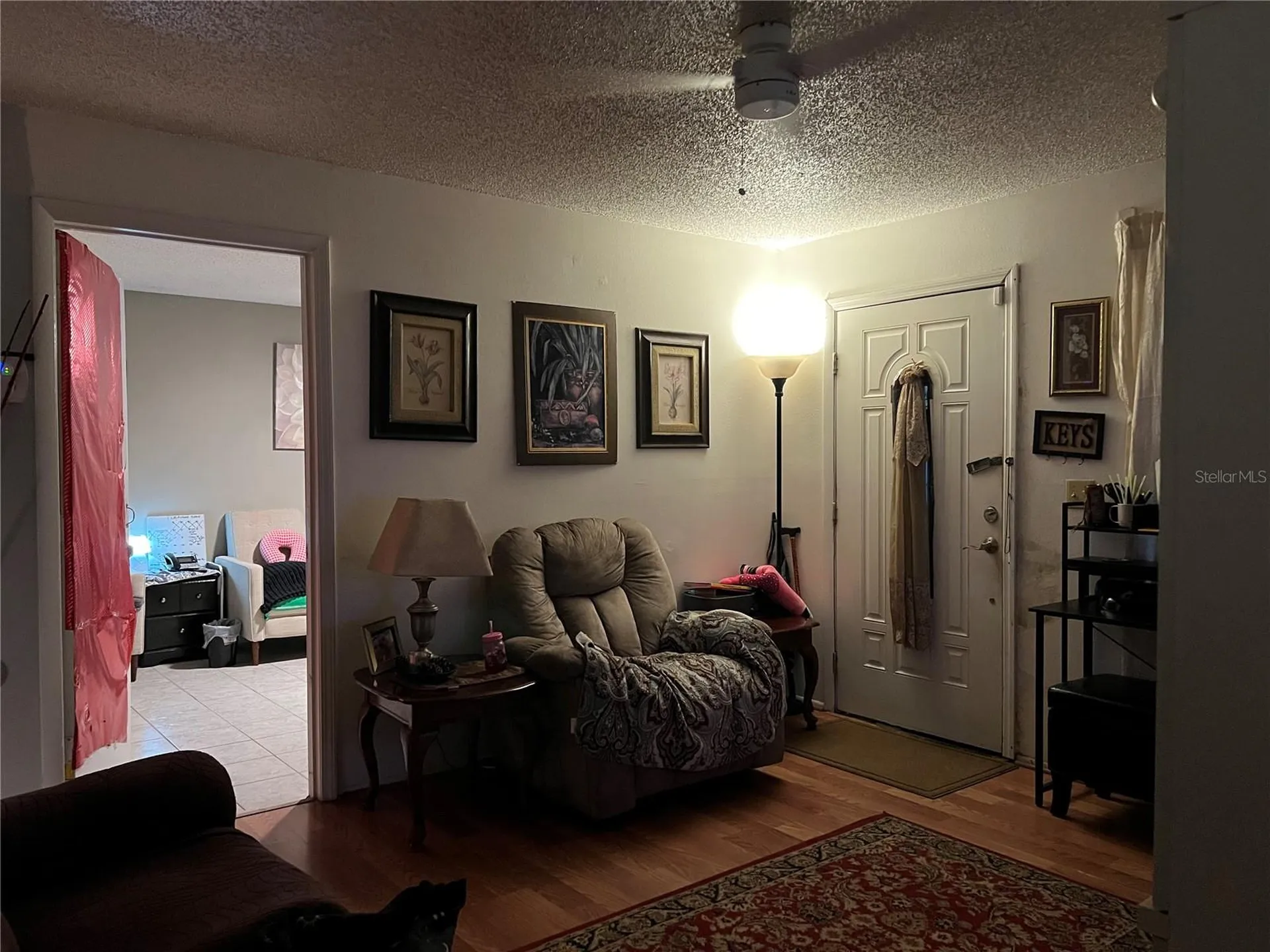 39431 Lincoln Avenue Zephyrhills FL 33542