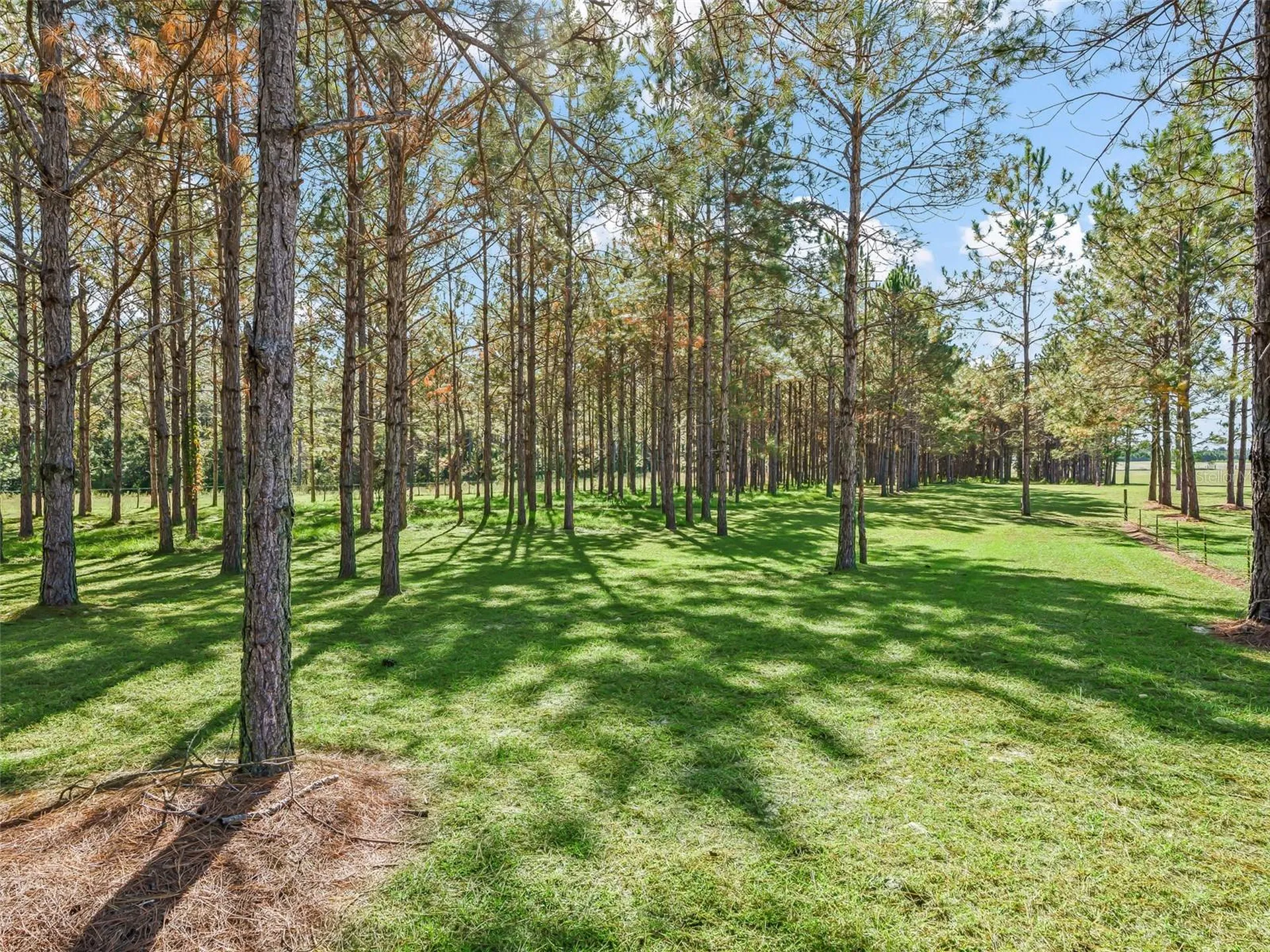1231 NW 120th Street Chiefland FL 32626