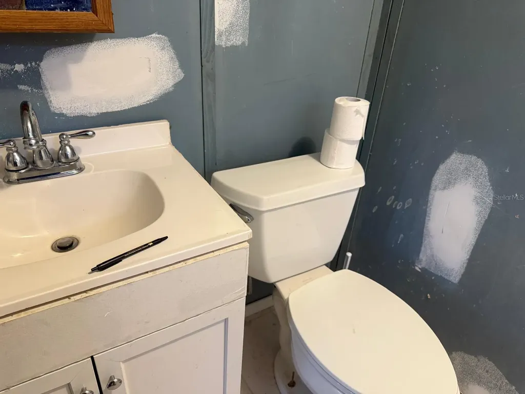 836 Cr 481w Lake Panasoffkee FL 33538