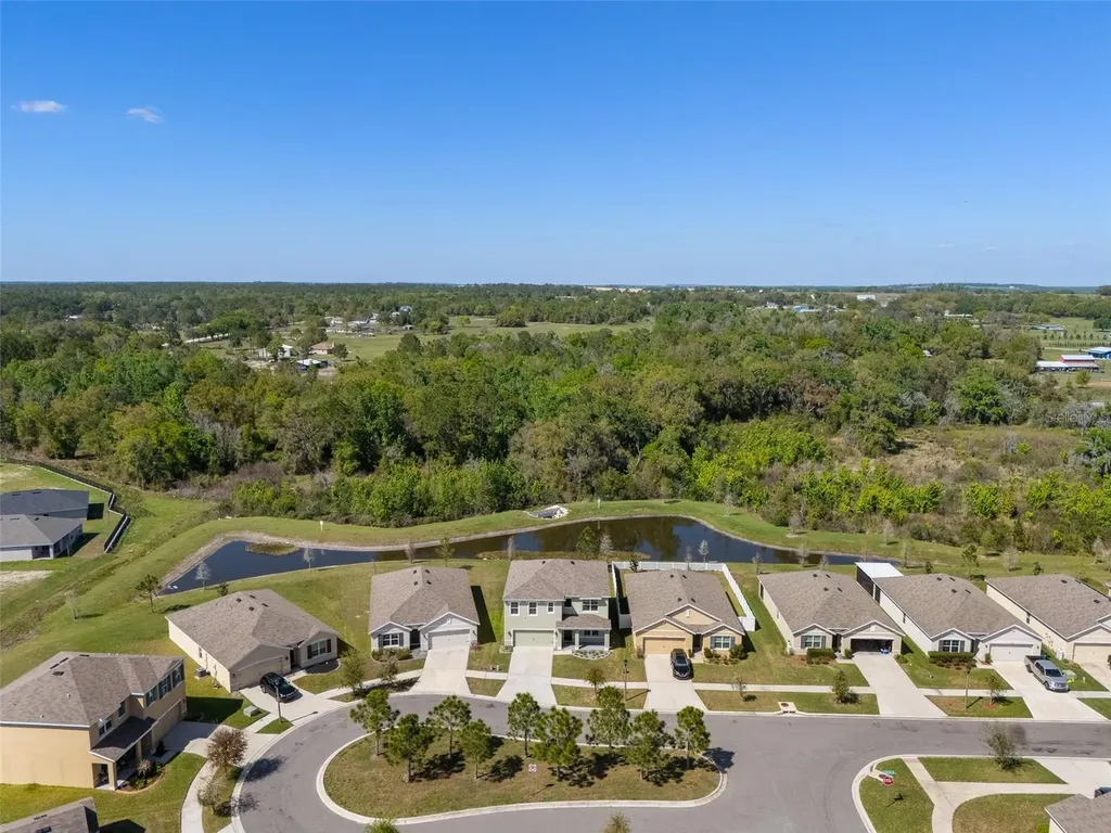 35533 Stella Vast Drive Zephyrhills FL 33541