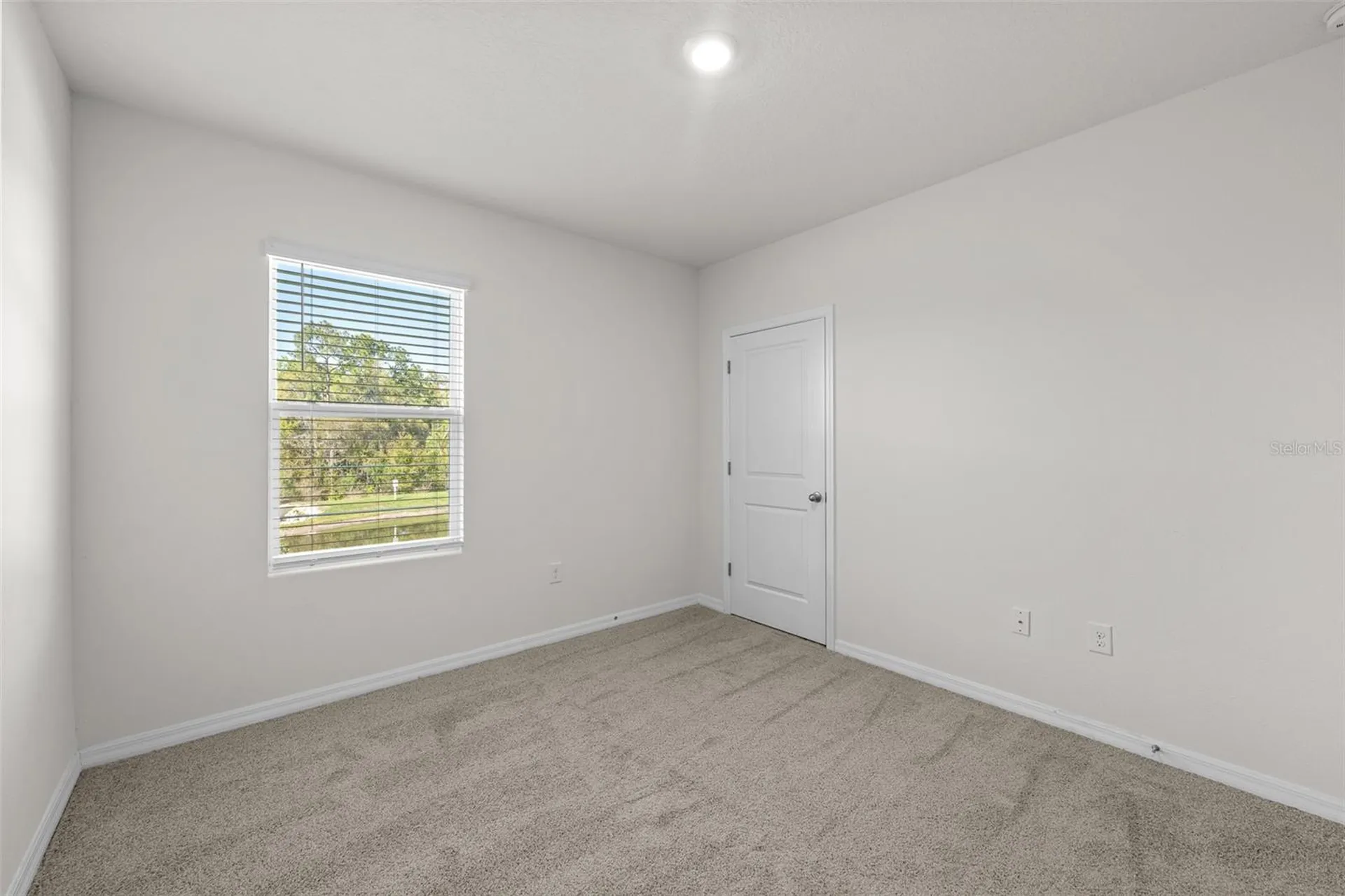 35533 Stella Vast Drive Zephyrhills FL 33541