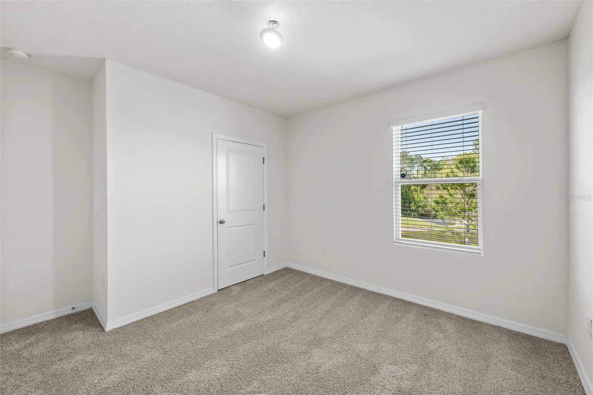 35533 Stella Vast Drive Zephyrhills FL 33541