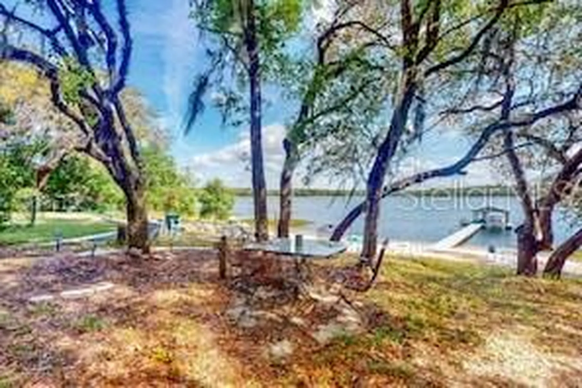 202 Cue Lake Drive Hawthorne FL 32640