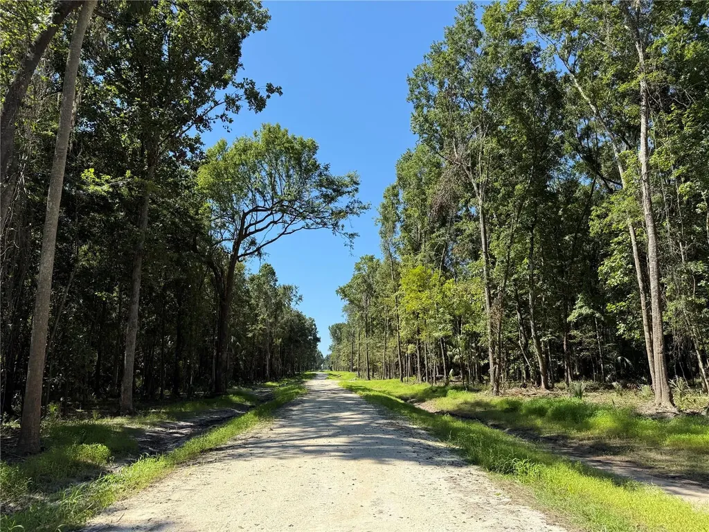 Drive #8 (10ac) NW 193rd Street Micanopy FL 32667
