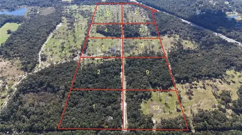 Drive #8 (10ac) NW 193rd Street Micanopy FL 32667