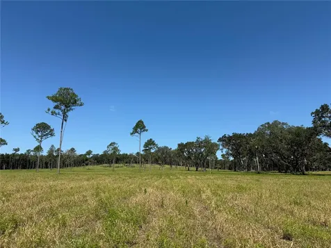 Drive #8 (10ac) NW 193rd Street Micanopy FL 32667
