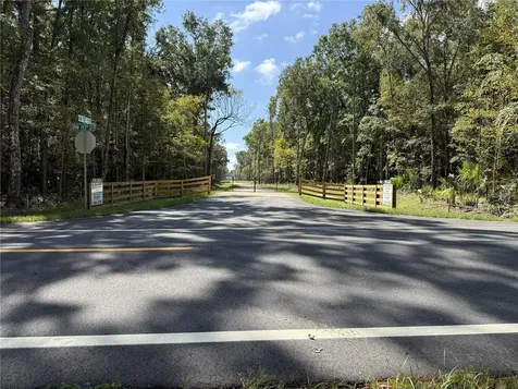 Drive #8 (10ac) NW 193rd Street Micanopy FL 32667