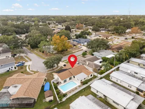 254 Timberview Drive Safety Harbor FL 34695