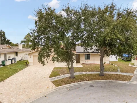 254 Timberview Drive Safety Harbor FL 34695