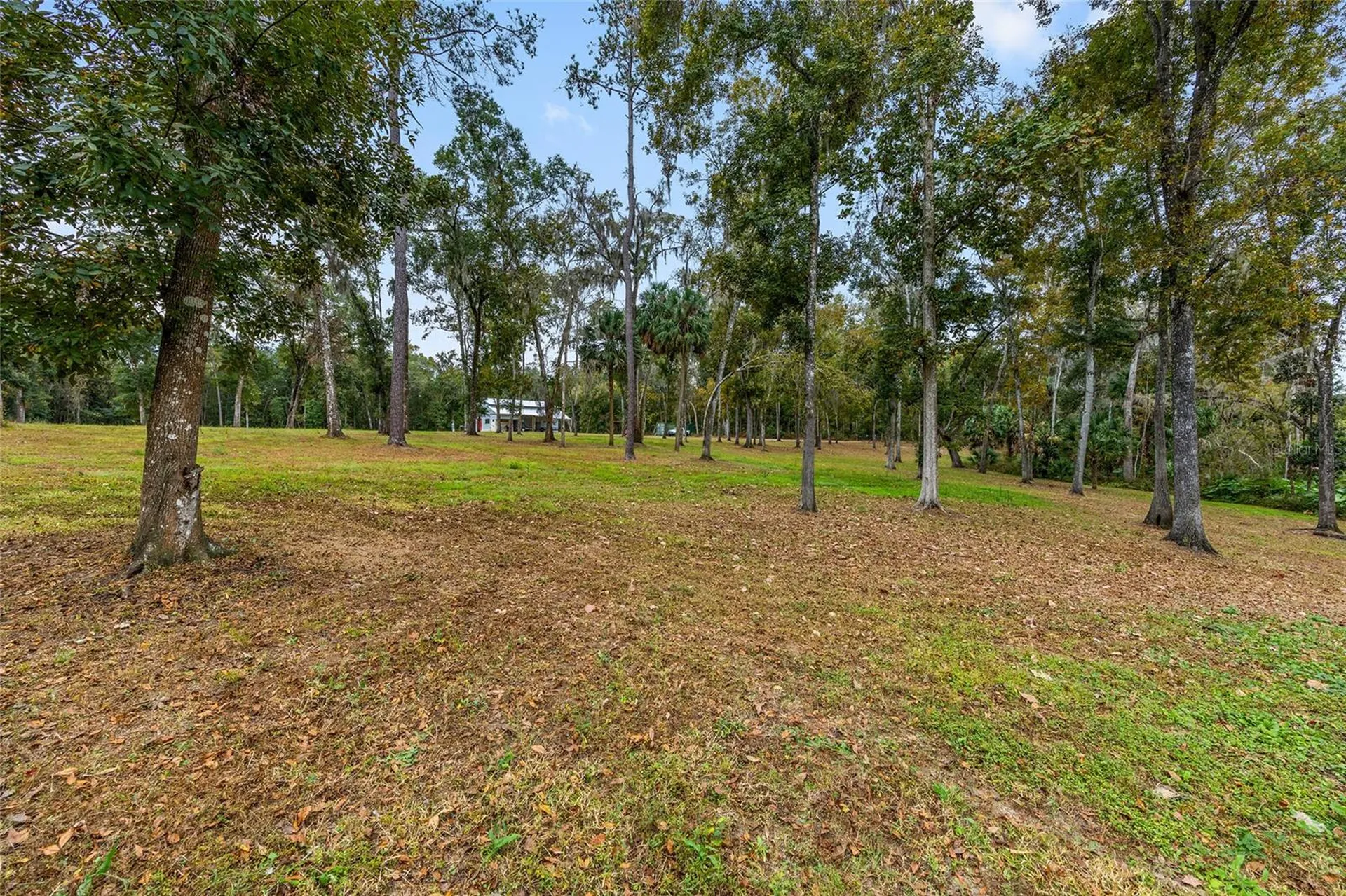 2578 SE 110th Street Ocala FL 34480