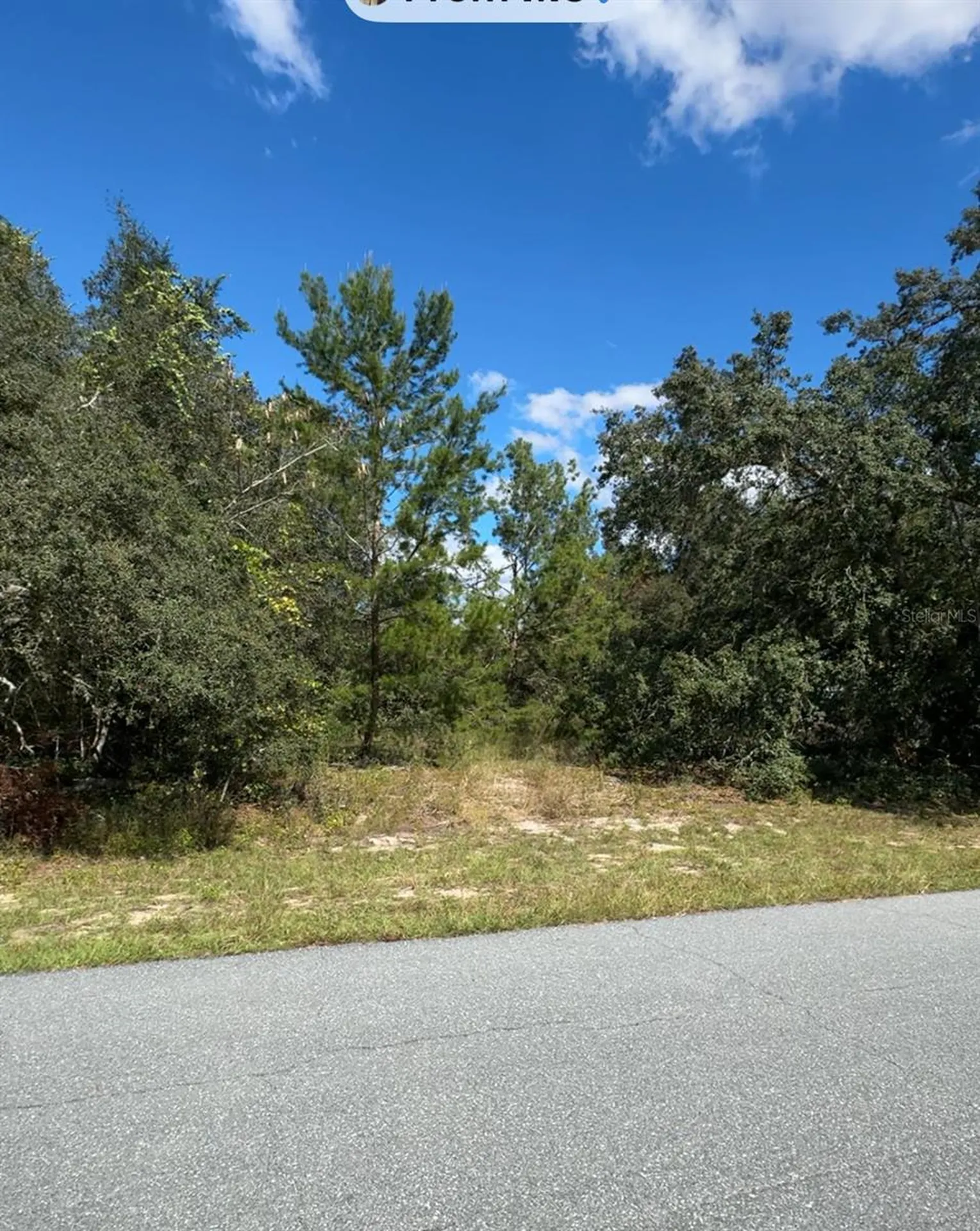 Tbd SW 166th Street Ocala FL 34473