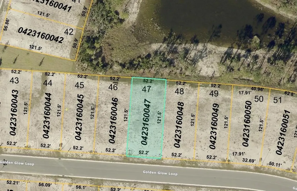 20021 Golden Glow Loop Venice FL 34292
