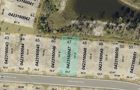 20021 Golden Glow Loop Venice FL 34292
