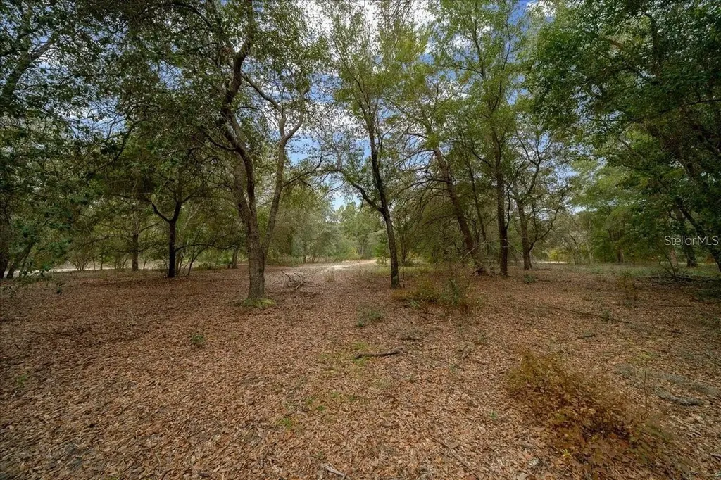 7173 W R Thomas Road Keystone Heights FL 32656