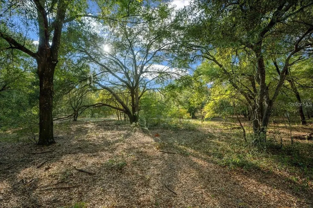 7173 W R Thomas Road Keystone Heights FL 32656