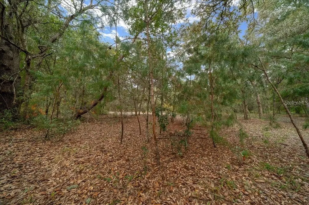7173 W R Thomas Road Keystone Heights FL 32656