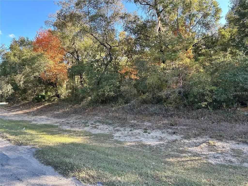 7173 W R Thomas Road Keystone Heights FL 32656